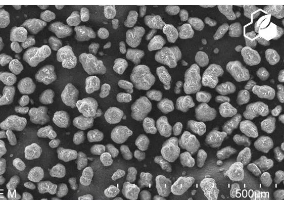 Scanning electron micrograph of Resint3D Nylon 12 particles at 100 times magnification