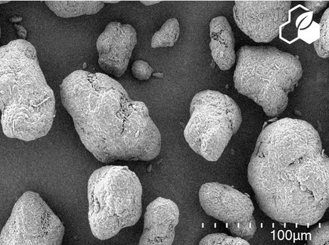 Scanning electron micrograph of Resint3D Nylon 12 powder particles at 300 times magnification